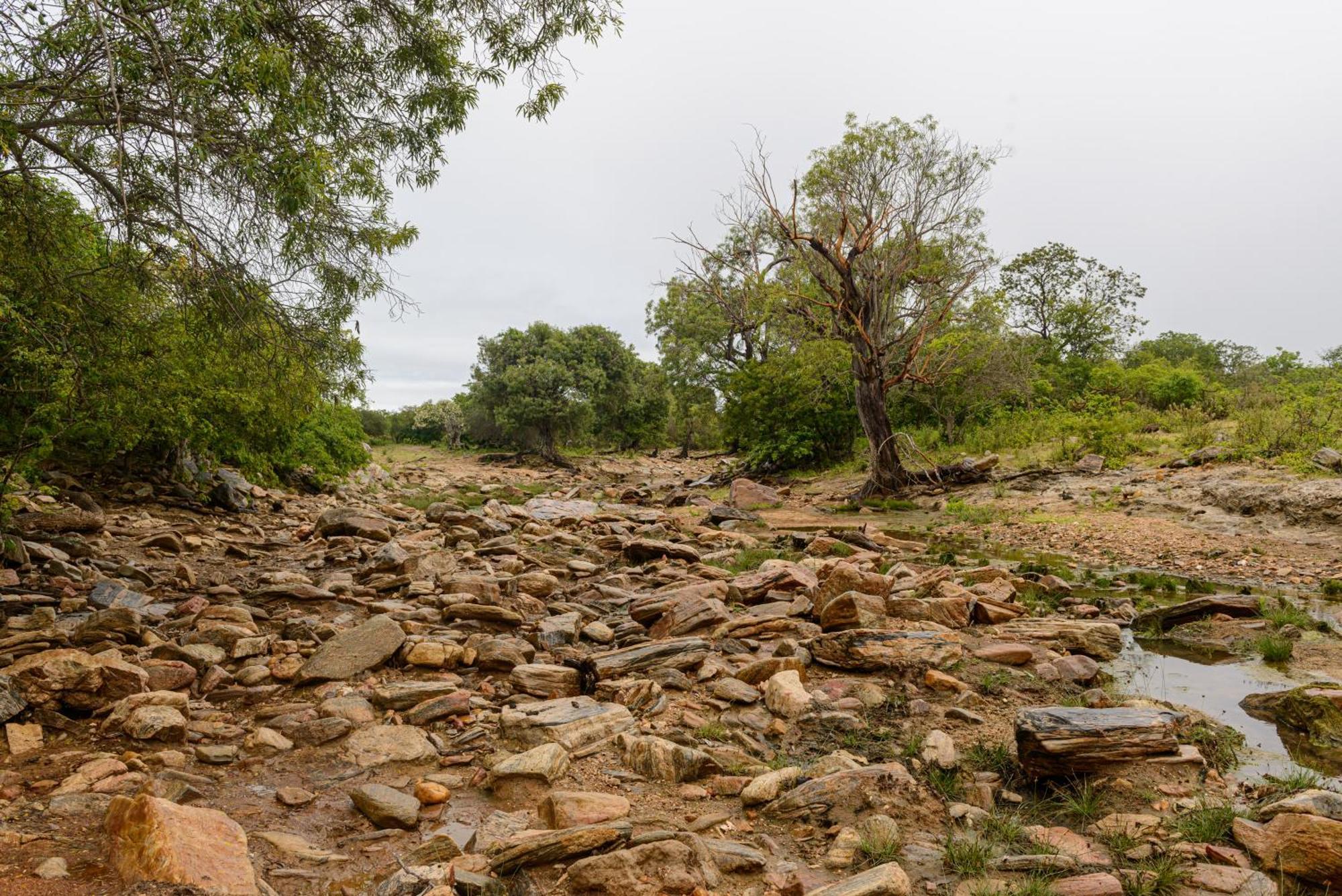 Fazenda Poco Das Pedras São João do Cariri Exteriör bild